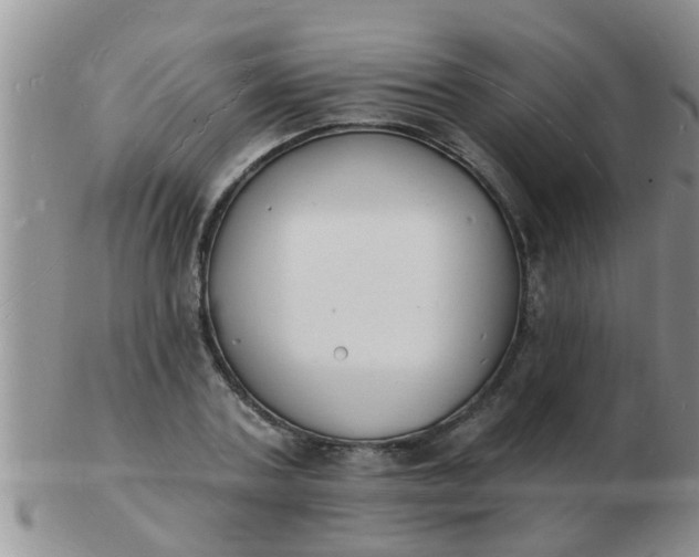 X0000103300787200809122029