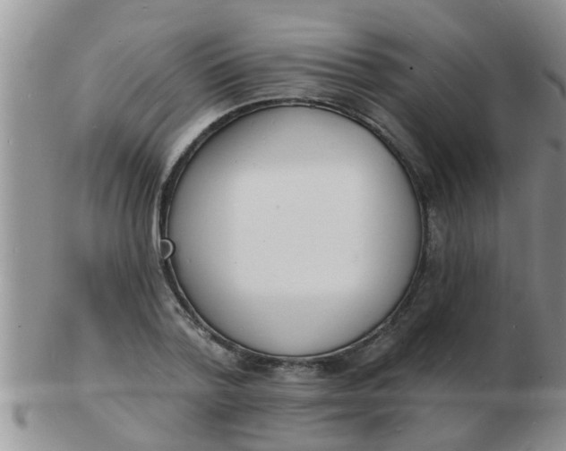 X0000103300788200809122029