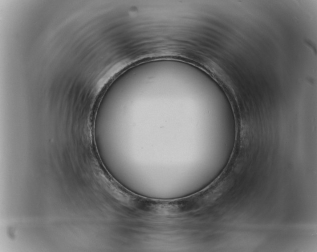 X0000103300789200809122029