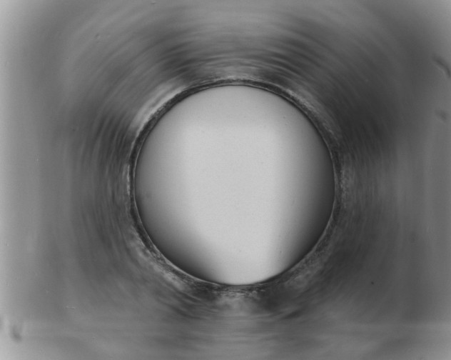 X0000103300790200809122028