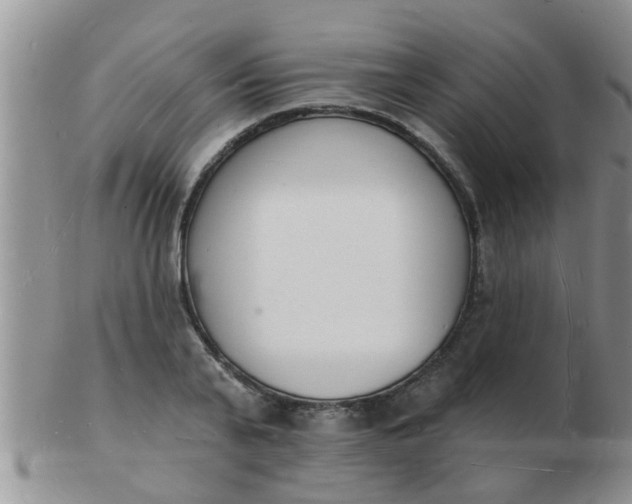 X0000103300791200809122028