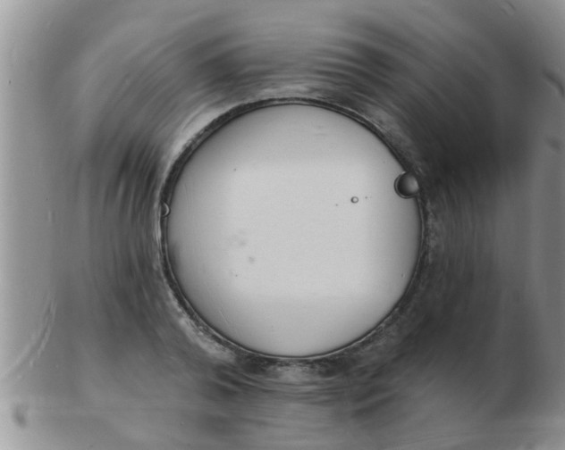 X0000103300792200809122028