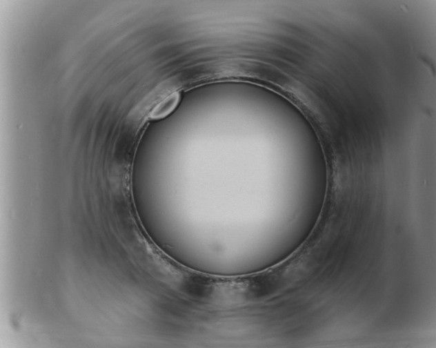 X0000103300793200809122028