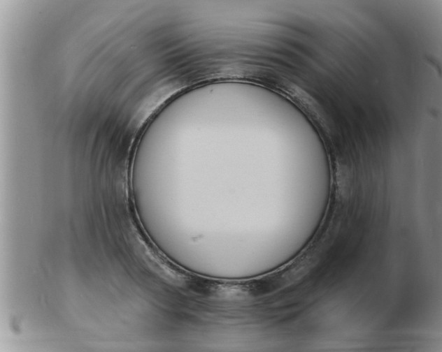 X0000103300794200809122028