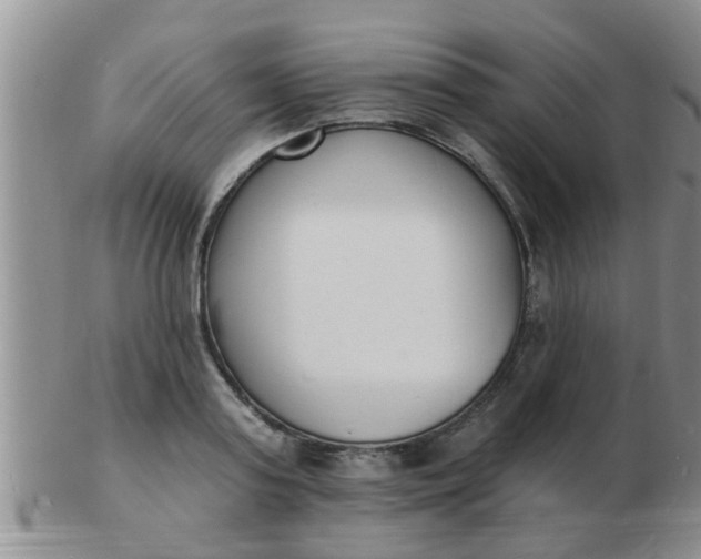 X0000103300795200809122028