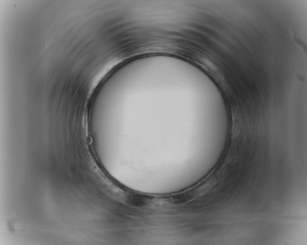 X0000103300796200809122028