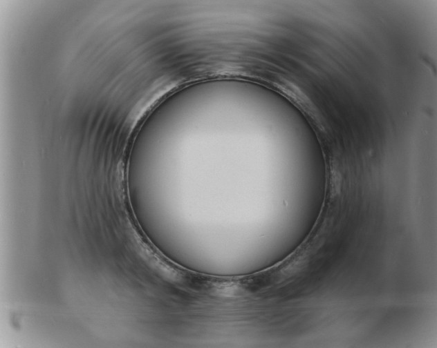 X0000103300798200809122028