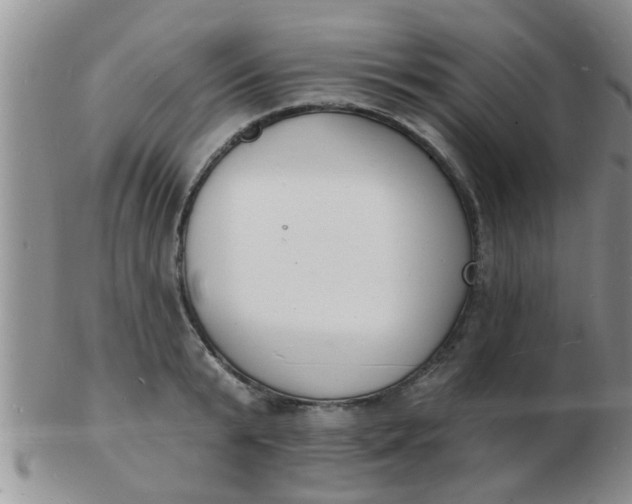 X0000103300799200809122028