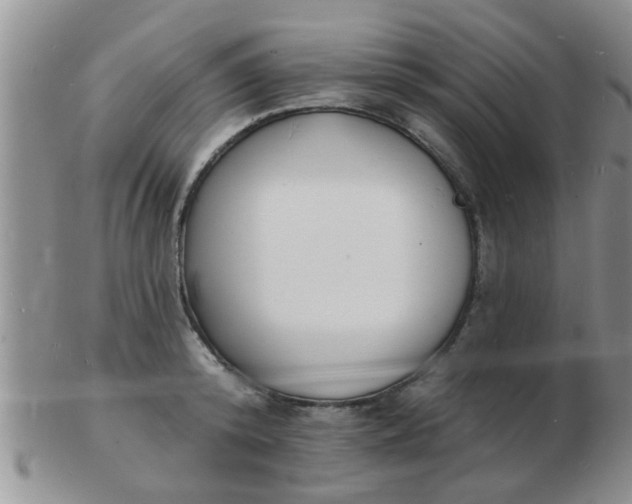 X0000103300800200809122028