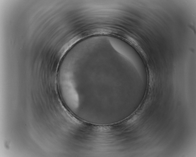 X0000103300802200809122028