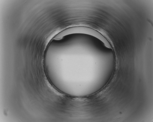 X0000103300805200809122028