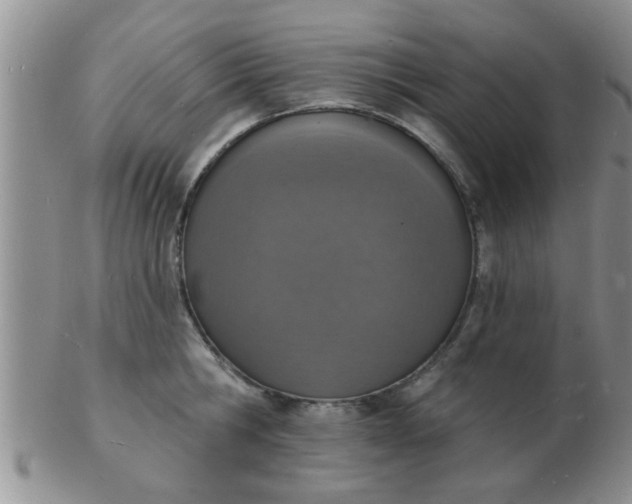 X0000103300806200809122028