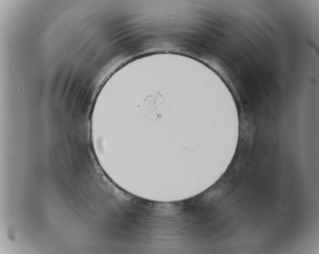 X0000103300807200809122028