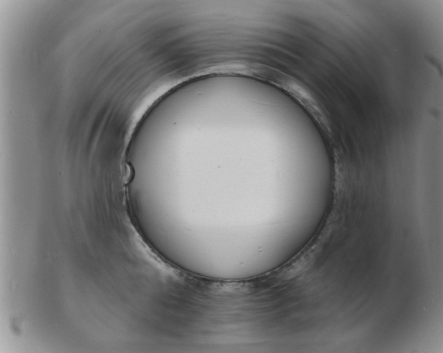 X0000103300808200809122028