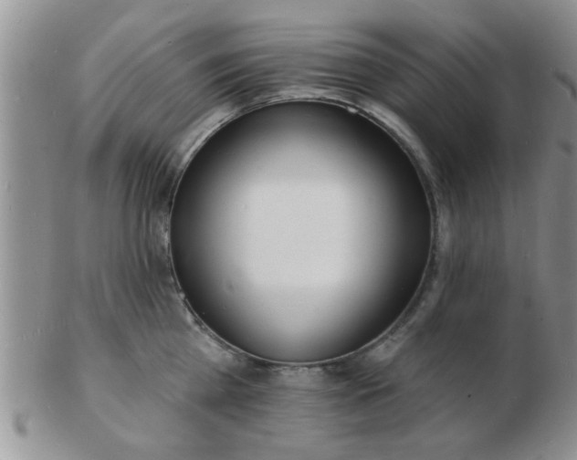 X0000103300809200809122028