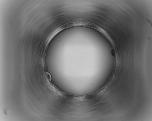 X0000103300810200809122028