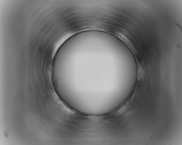 X0000103300812200809122028