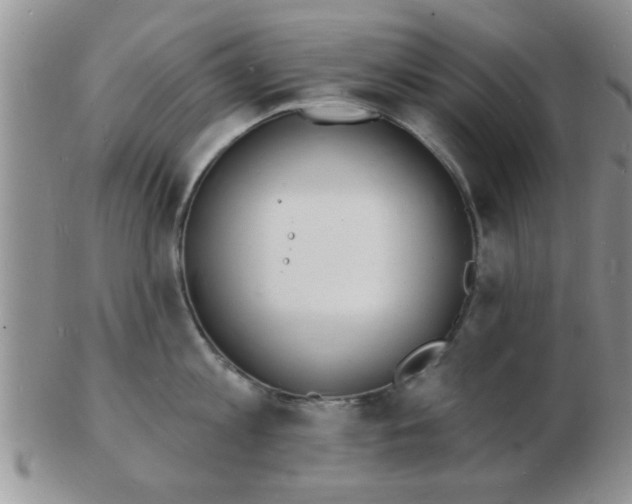 X0000103300813200809122028