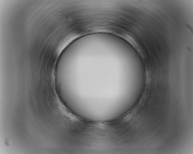 X0000103300814200809122028