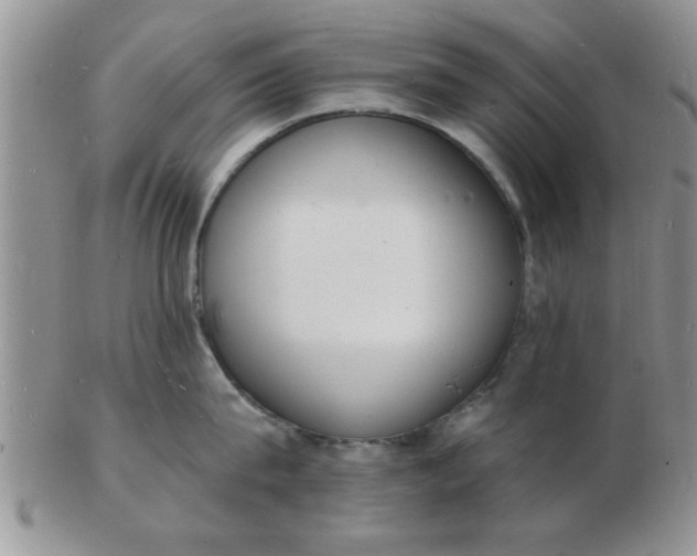 X0000103300815200809122028