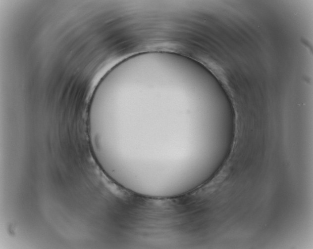 X0000103300816200809122028