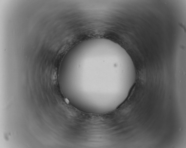 X0000103300818200809122027