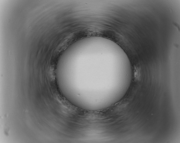 X0000103300819200809122028