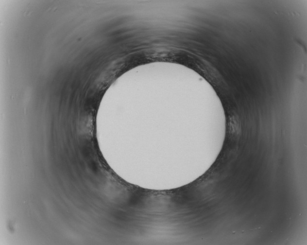 X0000103300820200809122028