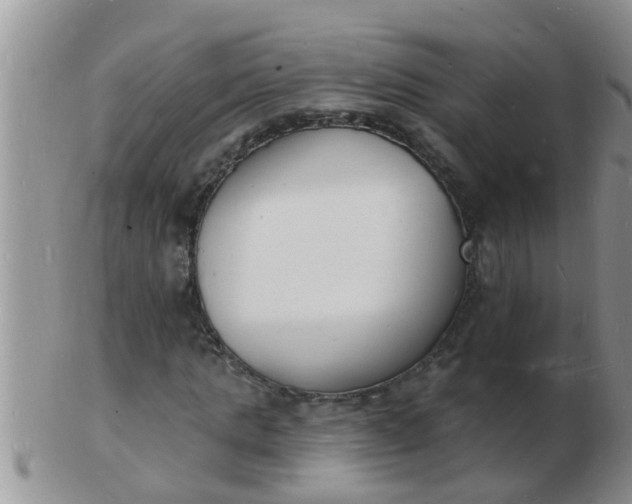 X0000103300821200809122028