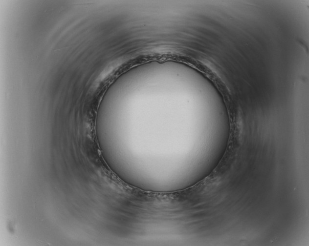 X0000103300823200809122028