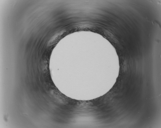 X0000103300824200809122028