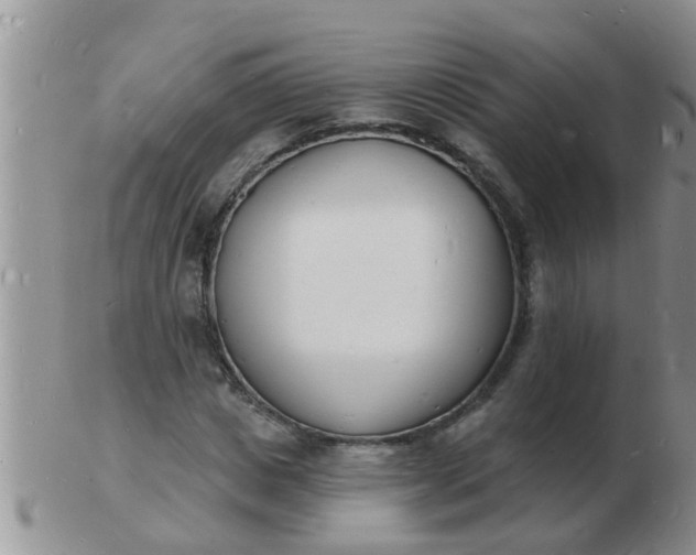 X0000103300825200809122028