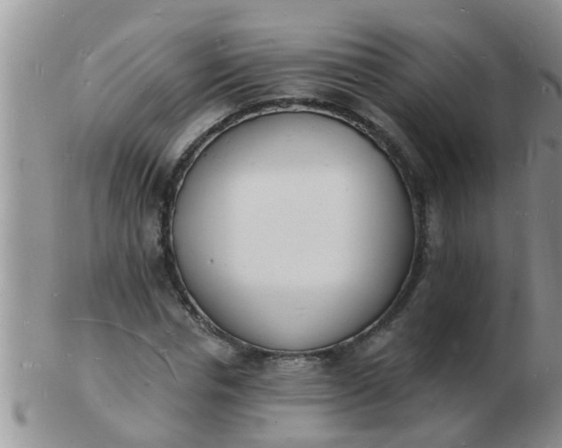 X0000103300826200809122028