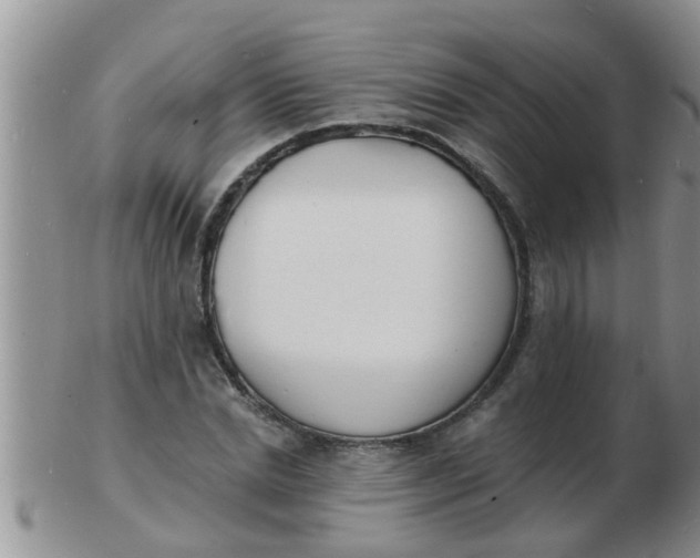 X0000103300830200809122028