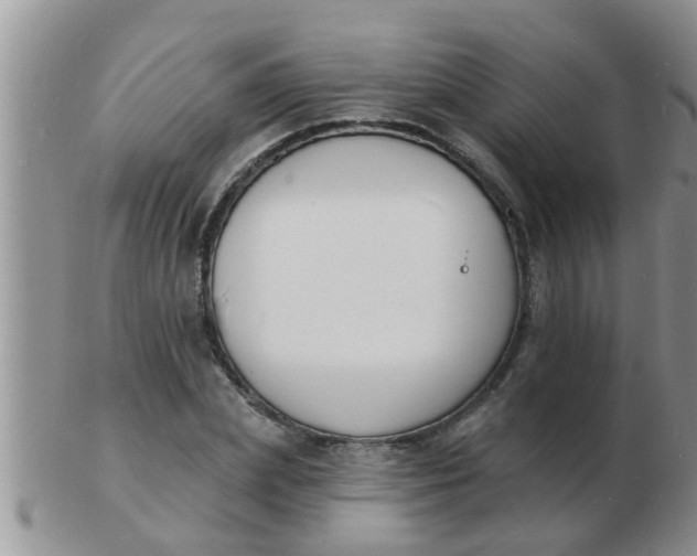 X0000103300831200809122028