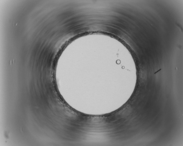 X0000103300832200809122028