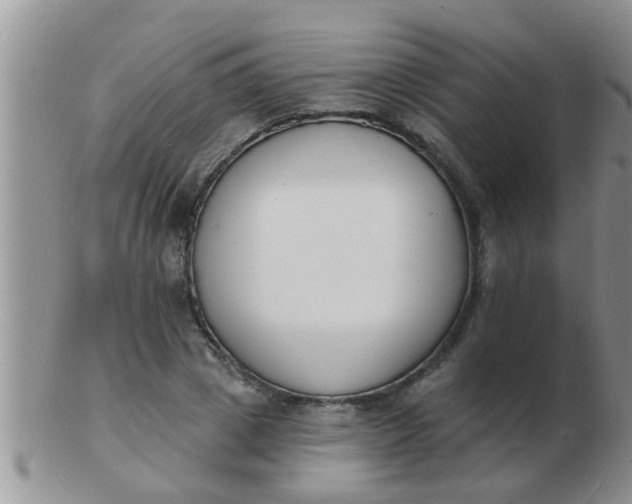 X0000103300833200809122028