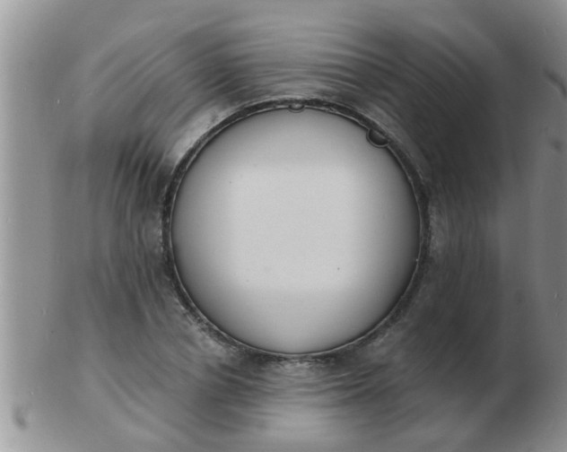 X0000103300834200809122028