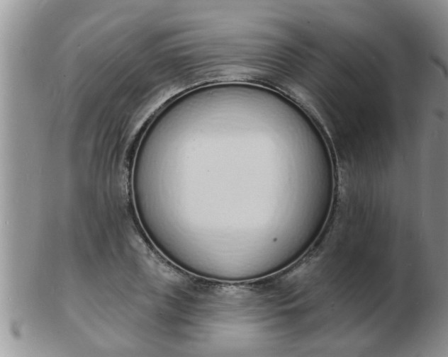 X0000103300835200809122028