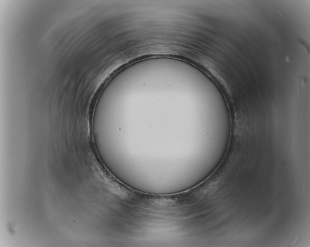 X0000103300837200809122028