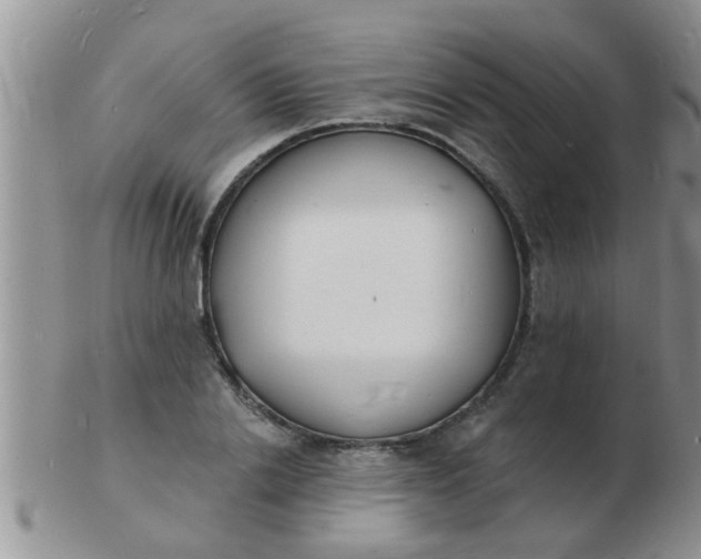 X0000103300838200809122028