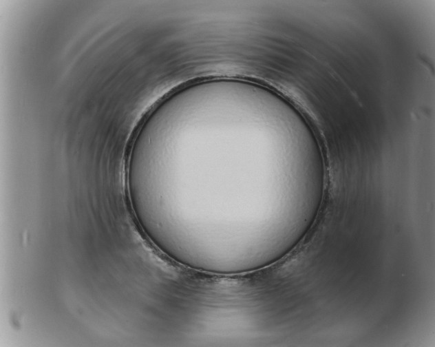 X0000103300839200809122028