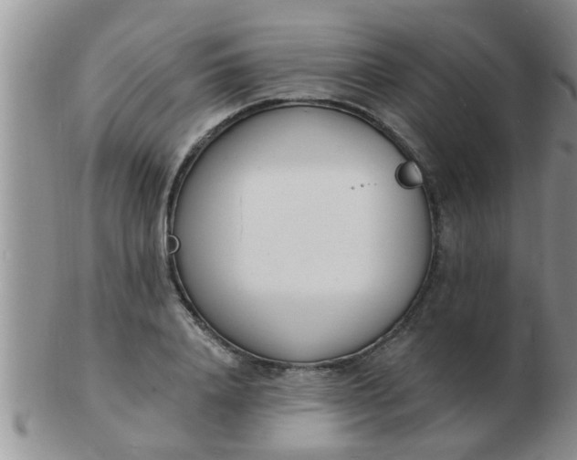 X0000103300840200809122028