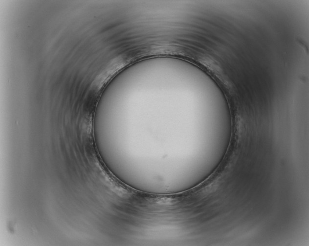 X0000103300841200809122028