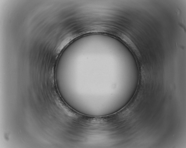 X0000103300842200809122028