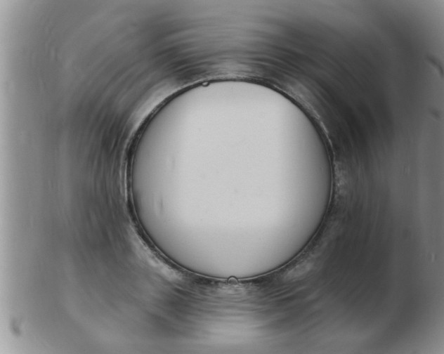 X0000103300843200809122028