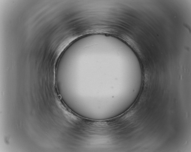 X0000103300844200809122028