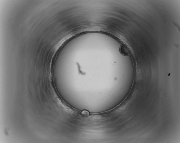 X0000103300845200809122028