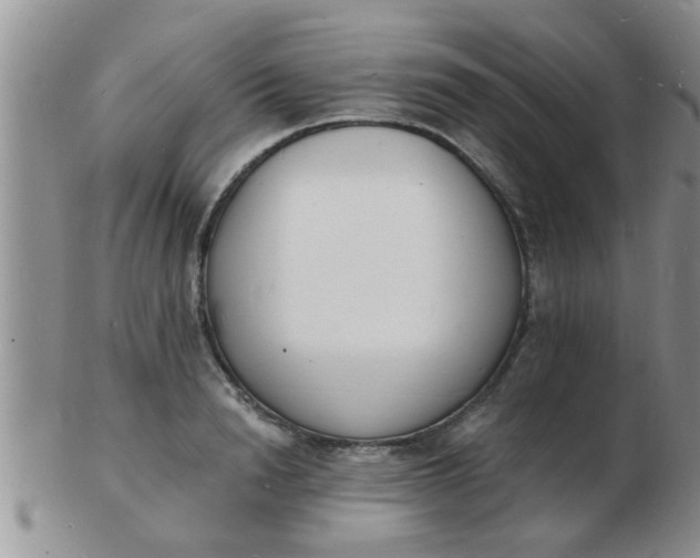 X0000103300846200809122028