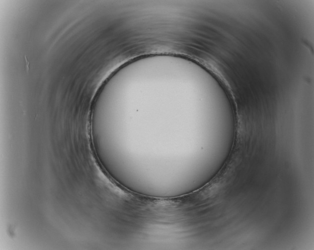 X0000103300847200809122028